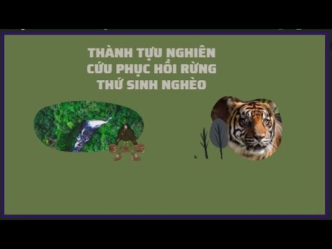Video Hướng đến tương lai | Thành tựu nghiên cứu phục hồi... - youtube