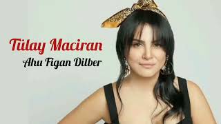 Tülay Maciran - Ahu Figan Dilber Resimi