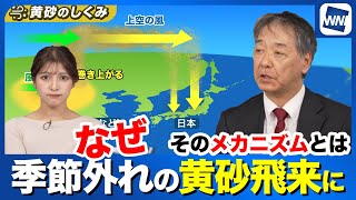 無料テレビで最新お天気ニュースを視聴する