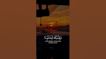 قرآن كريم بصوت القارئ: اسلام صبحي || أجمل حالات واتس اب دينيه || مقاطع انستقرام 💙🌸
