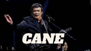 RHOMA IRAMA CANE // CANE RHOMA IRAMA MP3 TANPA IKLAN