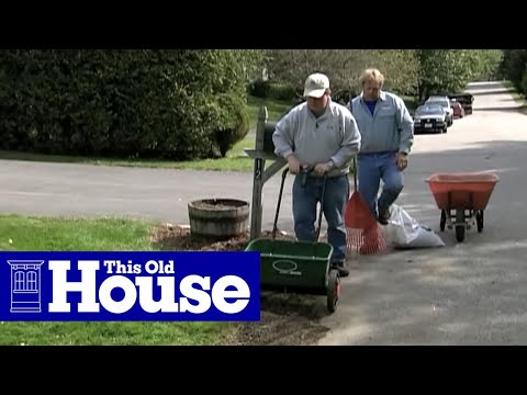How to Remove Crabgrass | This Old House