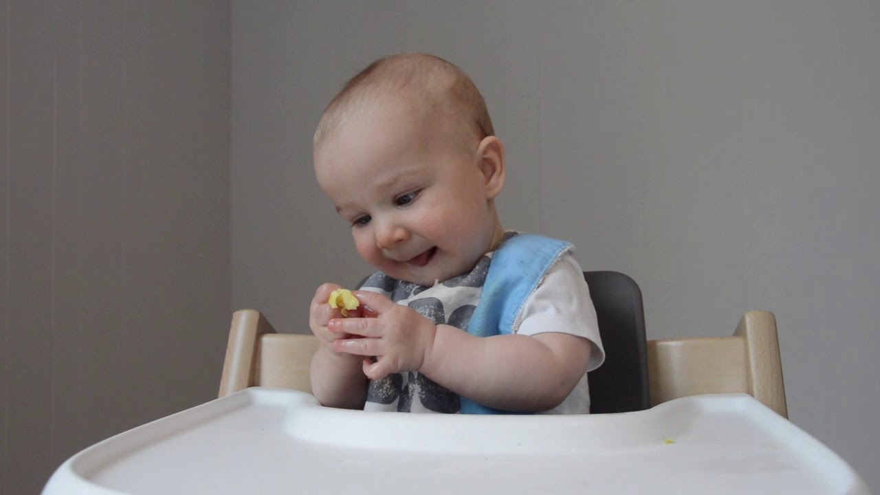 Combien D Oeufs Par Semaine Pour Mon Bebe Maximum Combien D Oeufs Par Semaine Pour Mon Bebe Maximum