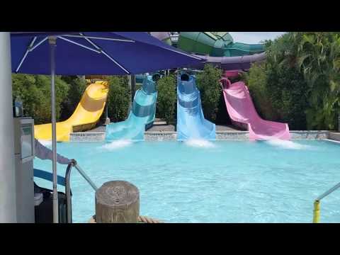 Aquatica Orlando Virtual Tour 2019 Includes KareKare Curl