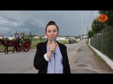 VideoCast: Desfile de carroças engalanadas recria tradições em Portalegre