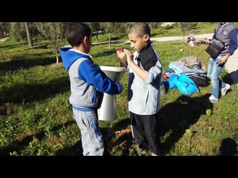 الطفل الذي أبهر اصحاب الدربوكة إيقاع جميل 