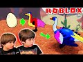 De huevo a CISNE, una familia de PAJAROS en ROBLOX Feather Family con Dani y Evan