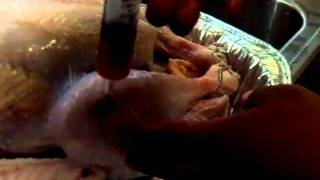 How to Inject a Turkey
