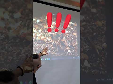 余小蝦老師帶我上大學（二） 海洋大學