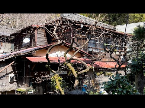 Atami walk, Shizuoka Japan [4K HDR]