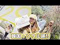 【爆食い】絶品韓国グルメをレポート!おすすめのお店紹介します!
