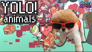 HIGH SCORE! | Yolo Animals | Indie Game screenshot 2