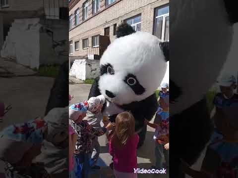 Панда🐼🐼🐼 Пончик поздравил Сашеньку с Днём рождения!!! 😍🥰😘