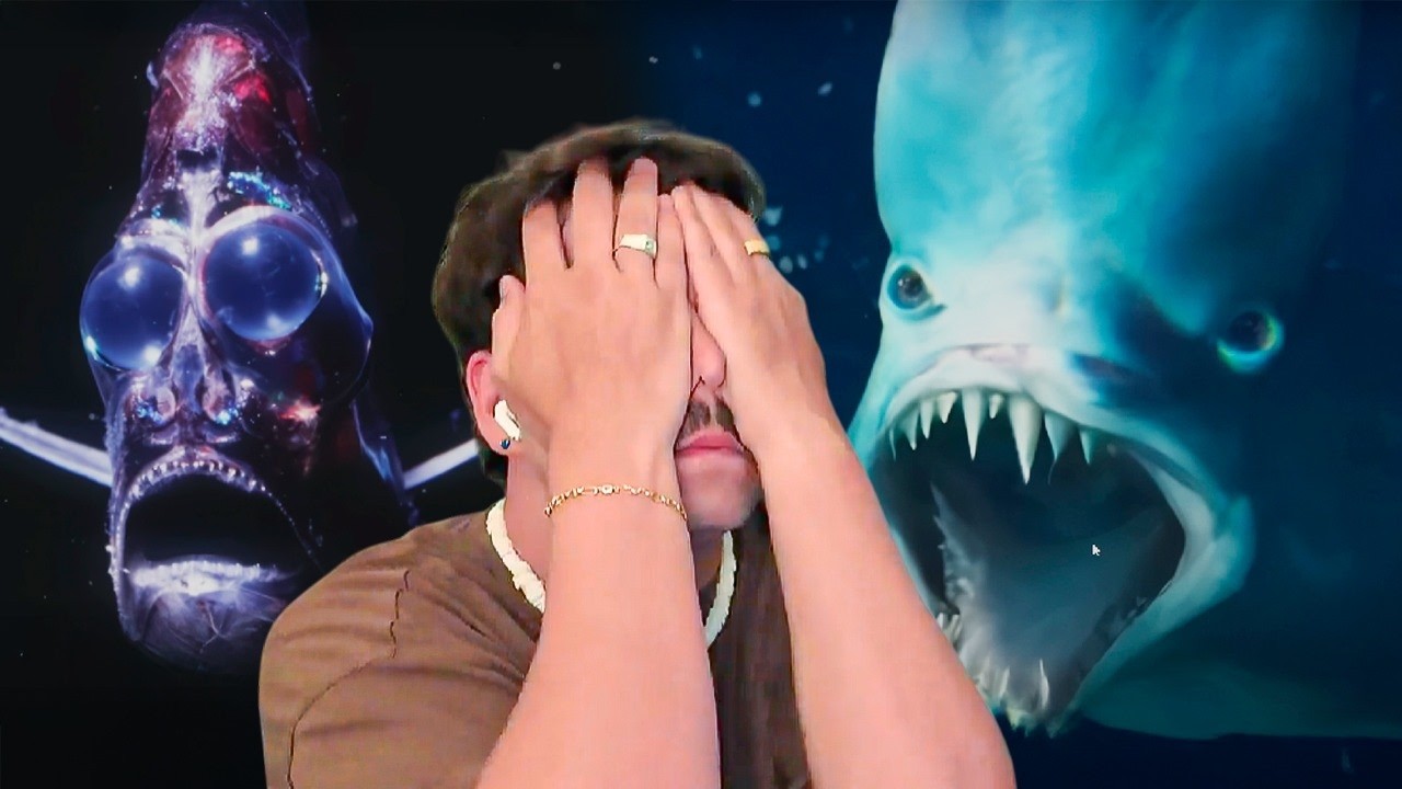 Impossível não ficar com medo do mar depois de ver esse vídeo