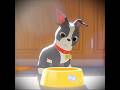 The Dog Who Gave Up Everything For Love 🥺 | Feast | #shorts