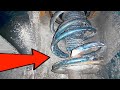 Replacing the Front Spring of the Shock Strut in VAG cars (Audi A6 C5, VW Passat B5, Skoda Superb)