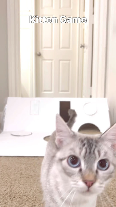 Coming In Hot! 🔥🐾