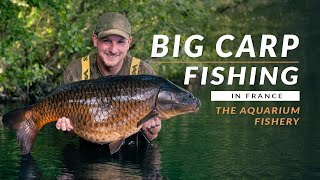 BIG CARP FISHING IN FRANCE! Catching carp at The Aquarium Carp Fishery | Mainline Baits Carp Fishing