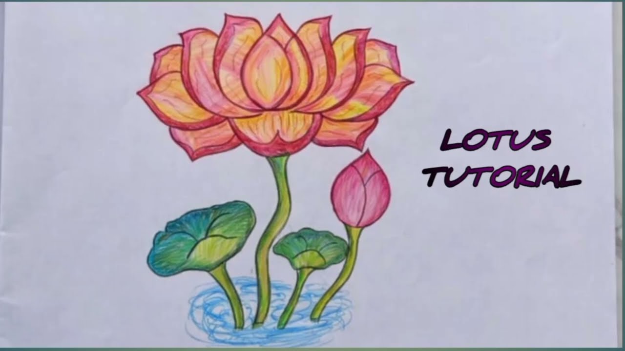 Beautiful Easy Lotus Drawing with Pencil✏️Step by Step Tutorial☝