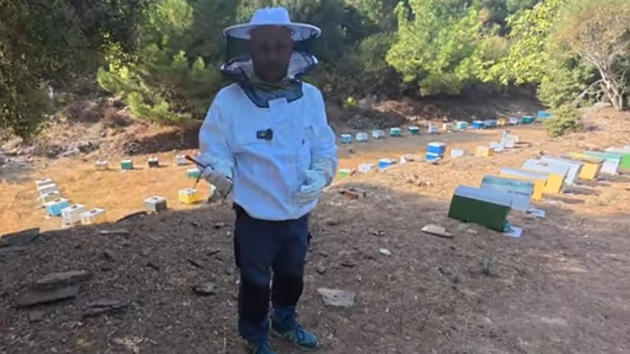 ΜΑΘΗΜΑ  ΜΕΛΙΣΣΟΚΟΜΙΑΣ ΣΤΗΝ ΟΡΕΙΝΗ ΣΑΜΟ ΑΠΟ ΤΟΝ ΒΑΓΓΕΛΗ ΣΠΑΖΟΚΟΙΛΗ