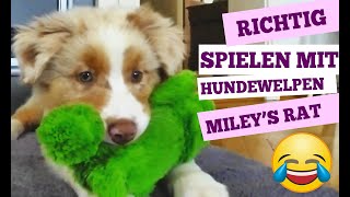 Richtig spielen mit Hundewelpen - Miley's Hundeschule :) by Miley Der Shepherd 2,792 views 4 years ago 2 minutes, 31 seconds