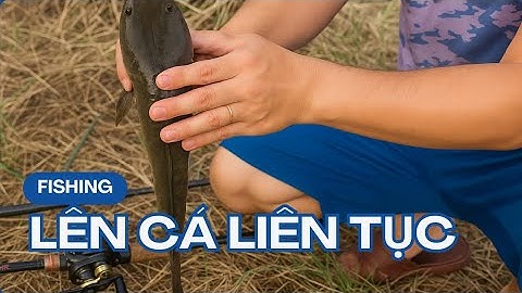Hầm cá tra lên cá liên tục | Hương Vị Miền Tây #caulure #caulurecatra #cauluremientay#cauca