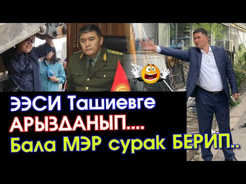 Video: Сауроподдор үн тосмосун буза алабы?