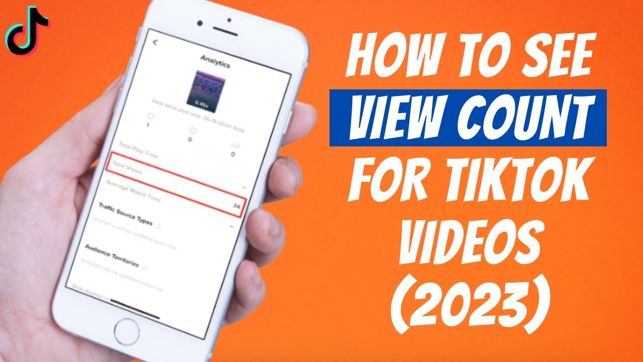 How To See View Count For TikTok Videos - YouTube