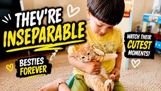 Nobody Warned Me About Orange Cats
