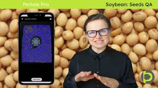 Soybean Seed QA with AI. How to count  2,368 soybean seeds in one photo with smartphone? screenshot 2