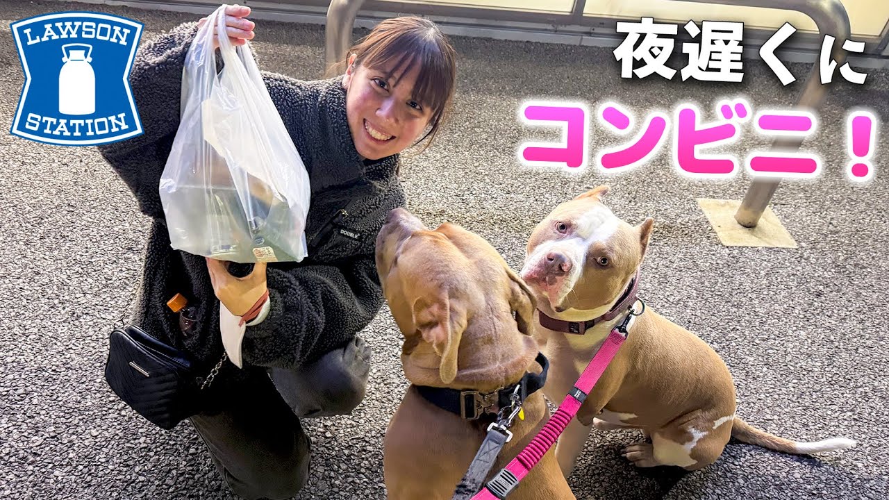 夜遅くにコンビニ！ロッキーたちと夜食を買いに行く！【コンビニ】