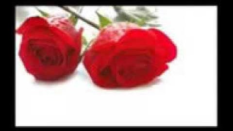 تلاوة جميلة القرآن سورة ياسين، الشيخ محمد أحمد بسيوني