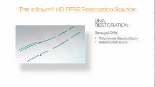 Illumina Infinium HD FFPE Restoration Solution Overview