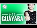 PAY DE GUAYABA ESTILO SINALOA  | Magy Cakes