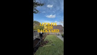 Our Pro Grade Poly Wheelbarrow Helps Transform Backyards | Gorilla ft. @spinsyddy