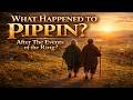 What Happened to Pippin After the War? (Hidden LOTR Lore)