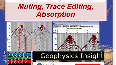 Seismic Data Processing learn Geo-Exploration Techniques & Advanced Editing Strategies