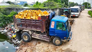 First Start Wonderful Project.! Filling Land Delete Flooded Areas By Skills Dozer Pushing Soil