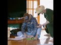 يضحك 1 1  اكسبلور بيونهارموني