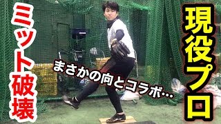 【神回】千葉ロッテ原 嵩（はら しゅう）投手がムコウズ入団！いきなりムコウに野球ドッキリを仕掛けた結果w