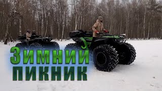 Зимний пикник