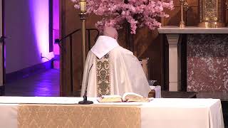 12:05 Mass Friday of the Third Week of Easter - 2026
