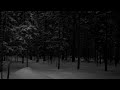 The Snowzinho - Every snowy place will always have an end