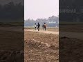 #cricket #cricket #viralshort @dli.t10 @Himanshupathirana70 🏏🏏❤️❤️💯❣️🎉