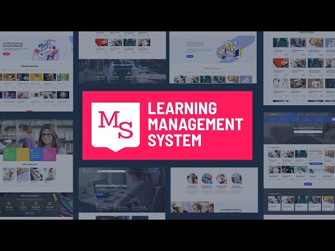 Education LMS WordPress Theme for Online Courses — MasterStudy | Ver. 4.0