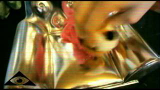 The Fantastic Mr Fox (Gay Furry Incest Hentai)