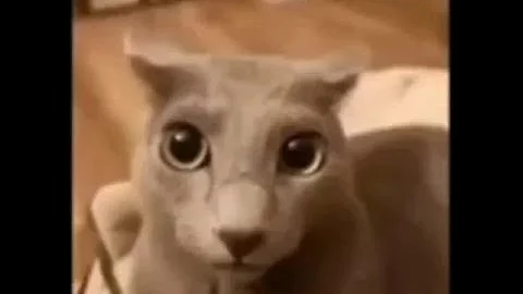 eek! but every eek is replaced with ahh