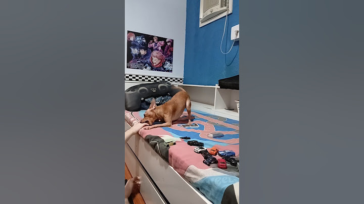 A casa é dela...moramos de favor aqui 🤣