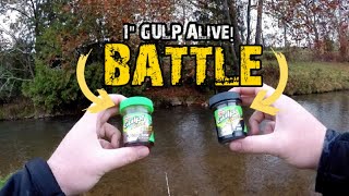 Gulp ALIVE 1v1 Trout Fishing CHALLENGE! Cricket vs Leech!!