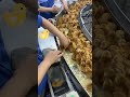 #chicken #chicks